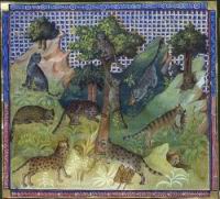 Bestiaire, Pantheres